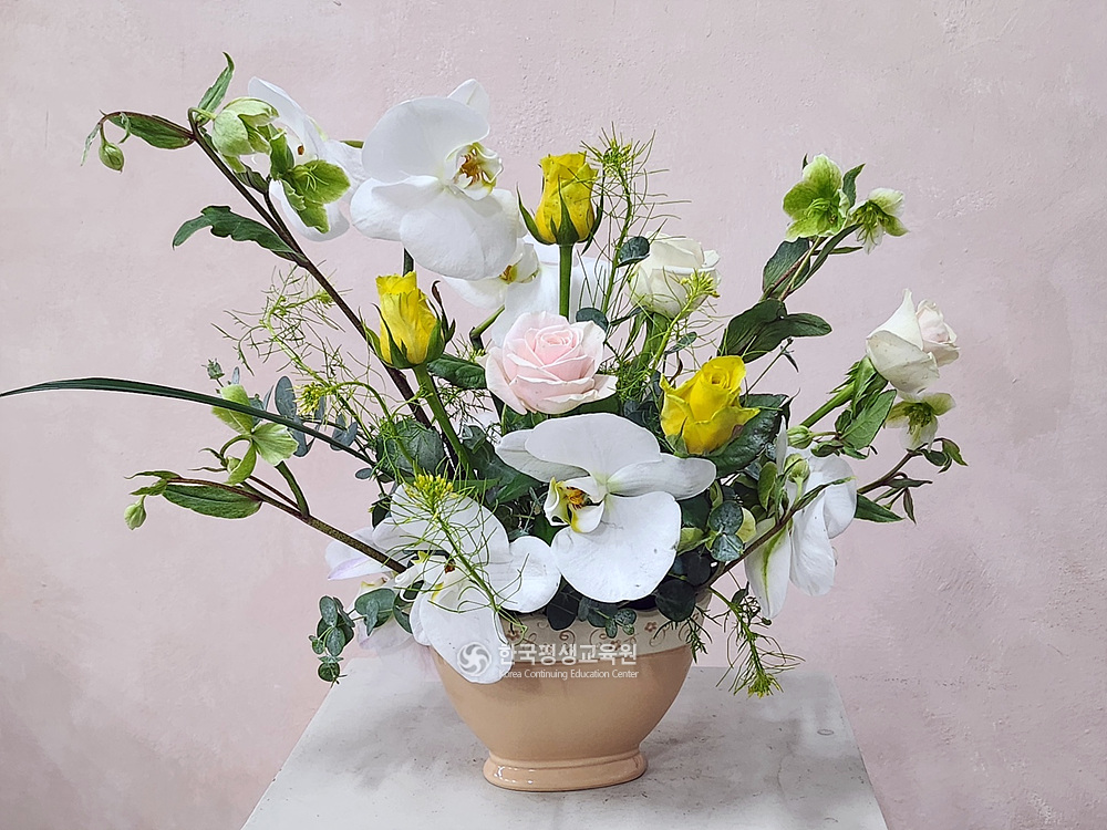 사용자 등록이미지