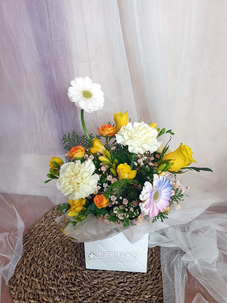 사용자 등록이미지