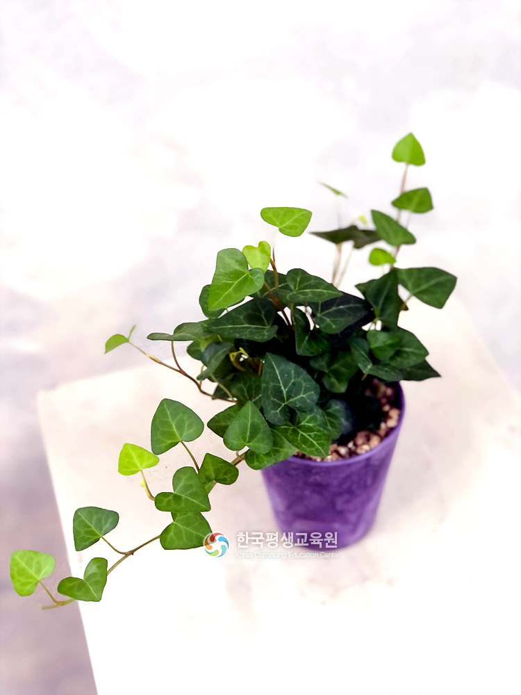 사용자 등록이미지