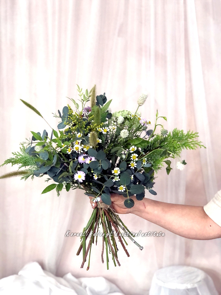 사용자 등록이미지