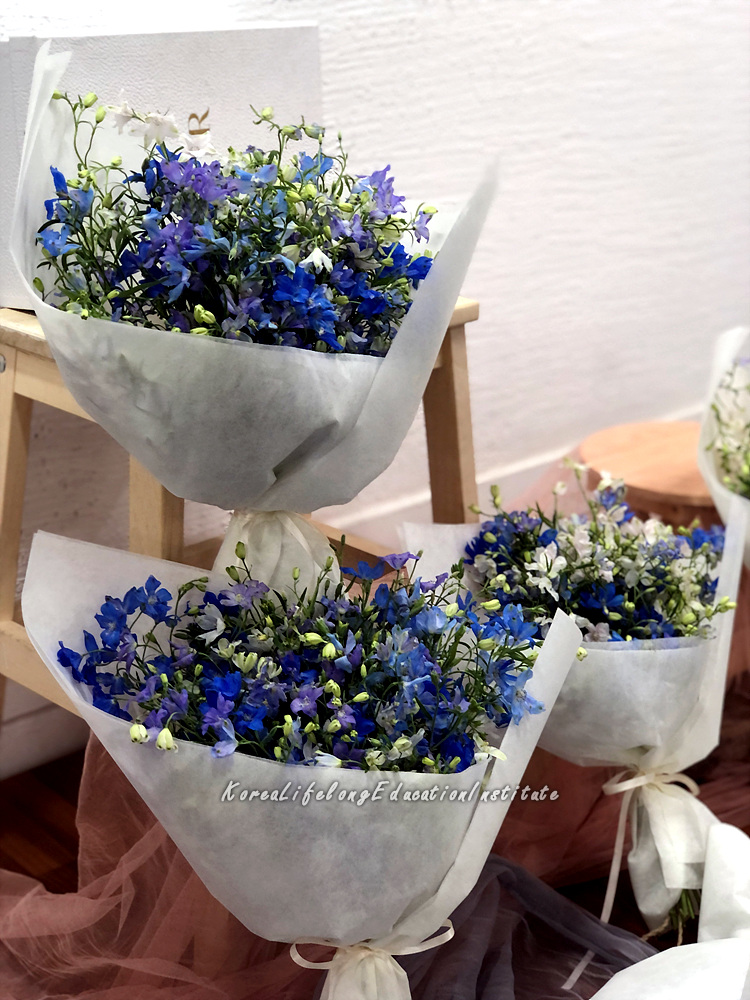 사용자 등록이미지