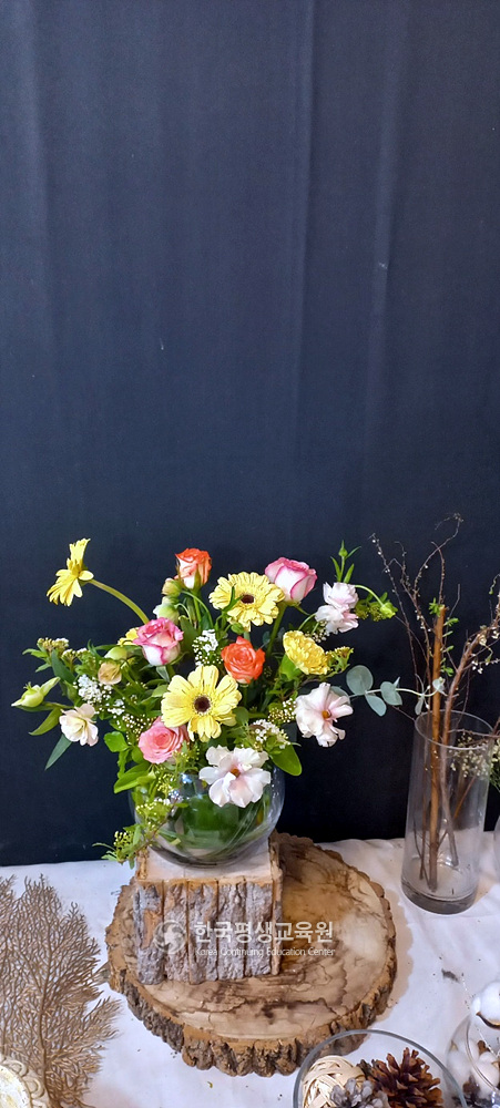 사용자 등록이미지