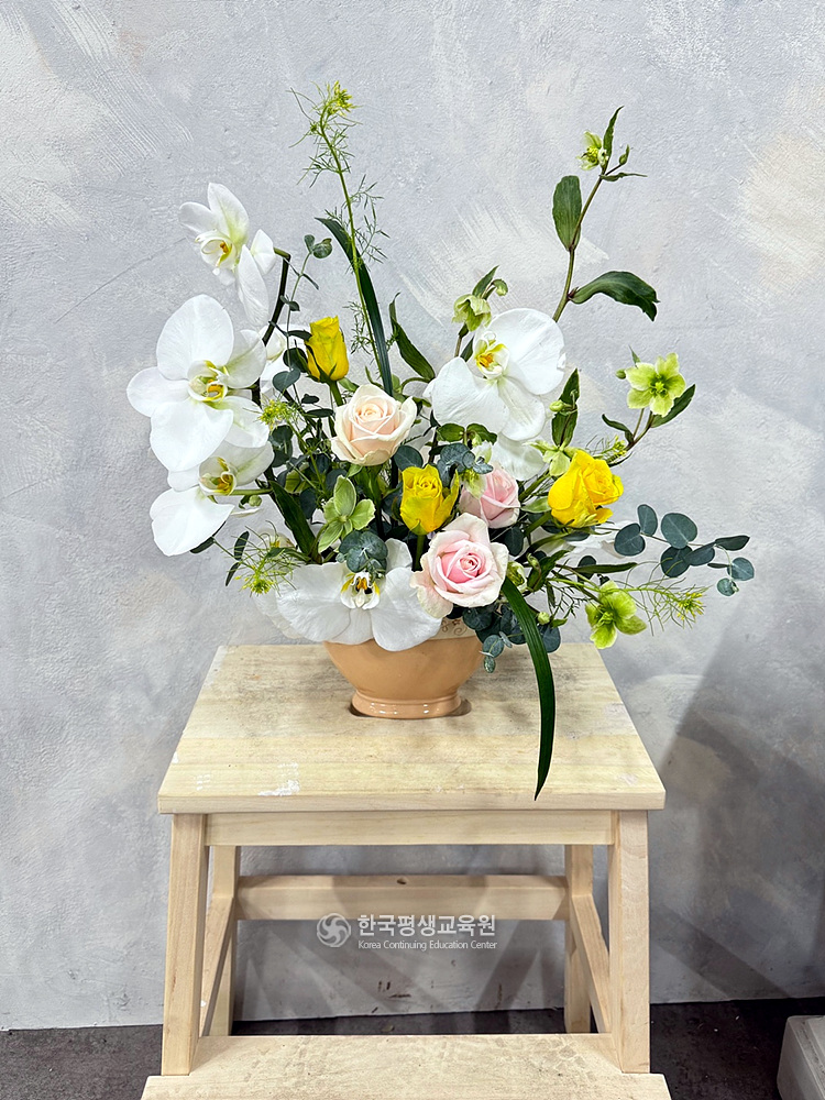 사용자 등록이미지