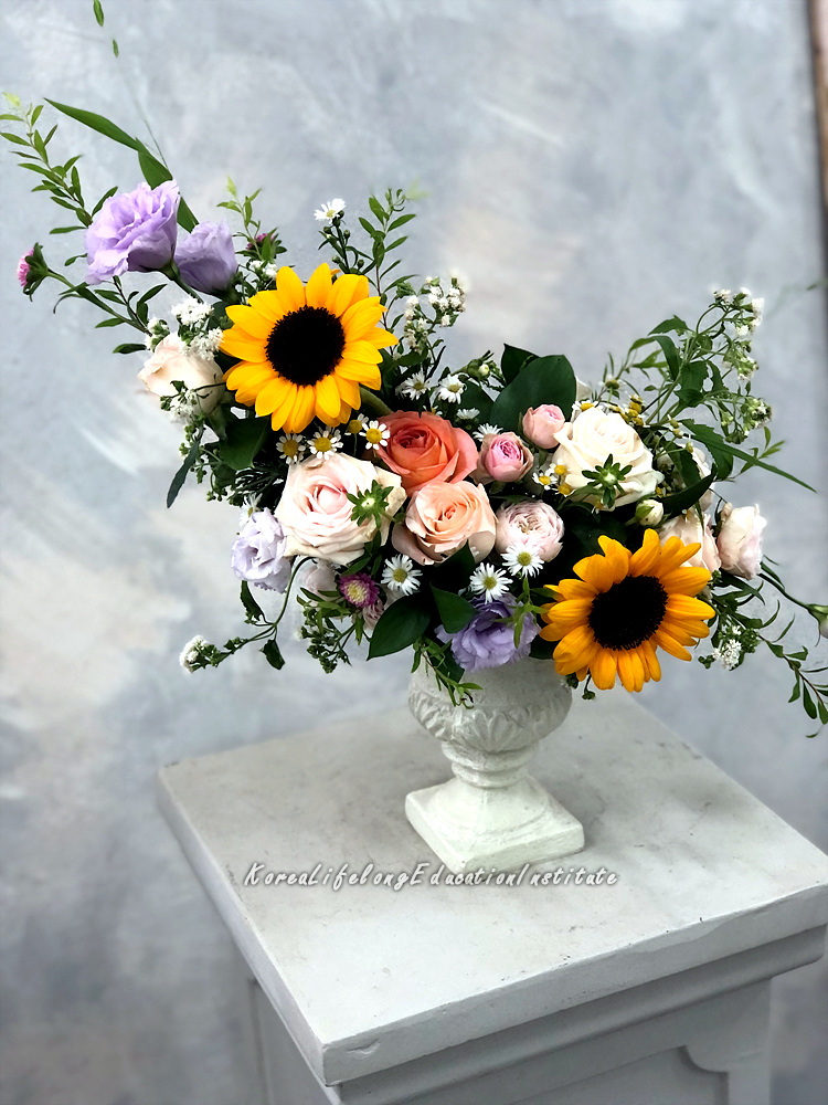 사용자 등록이미지