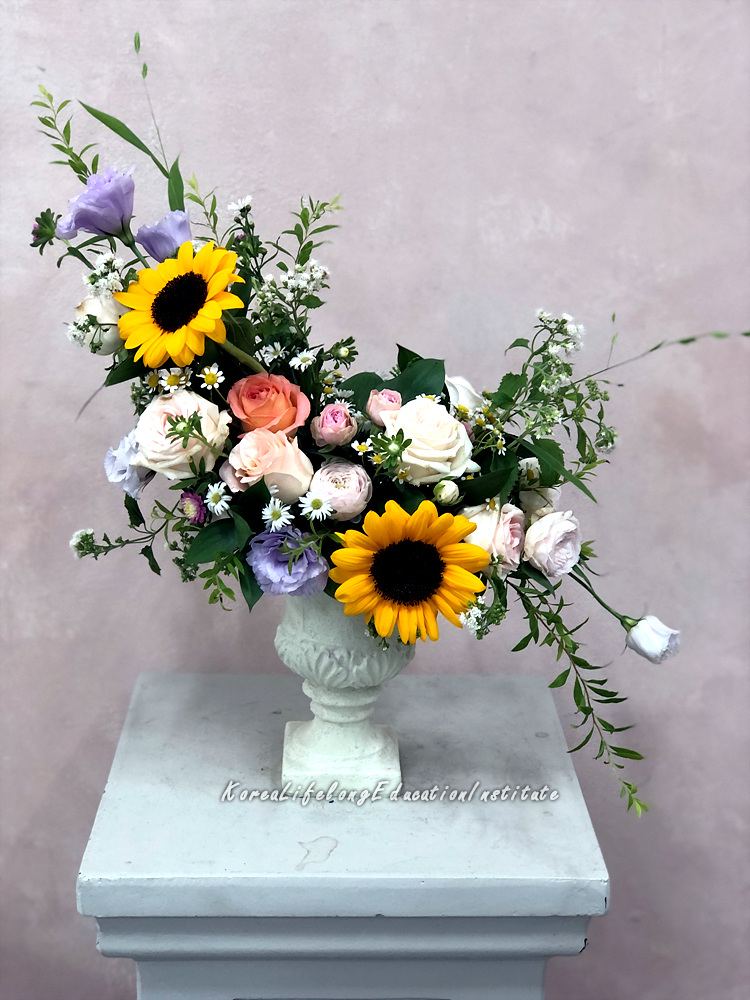 사용자 등록이미지