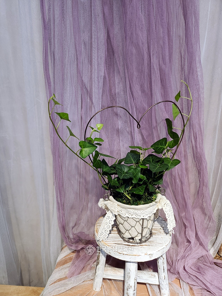 사용자 등록이미지