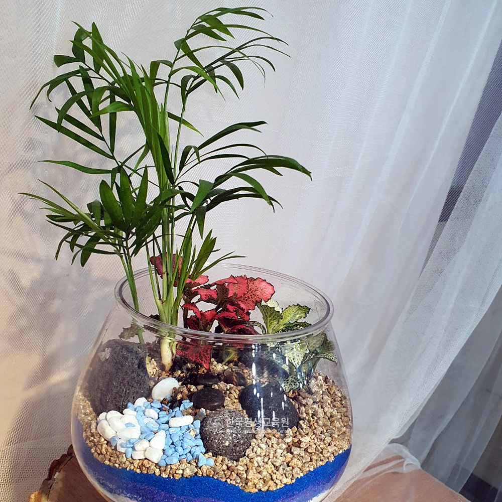 사용자 등록이미지