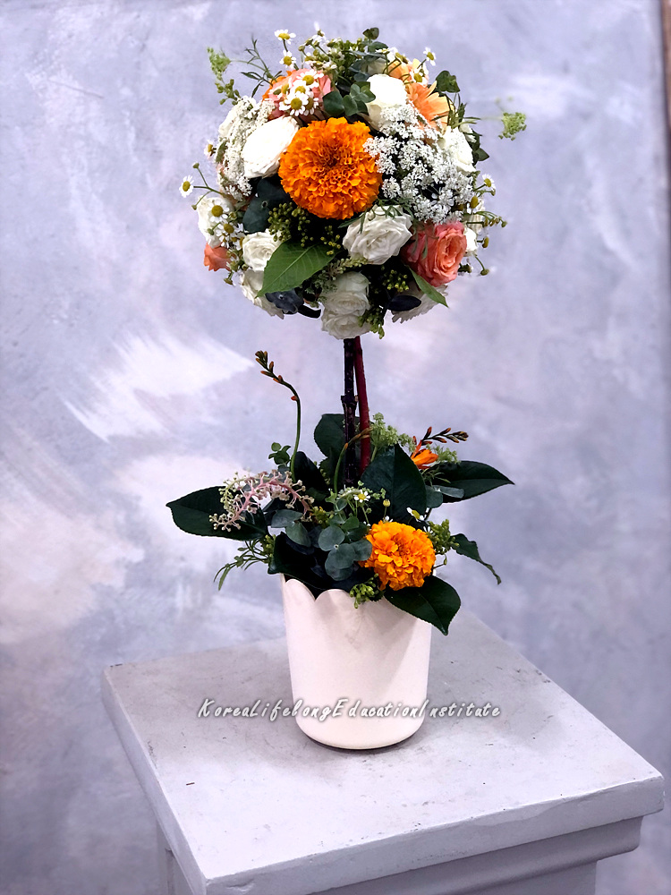 사용자 등록이미지