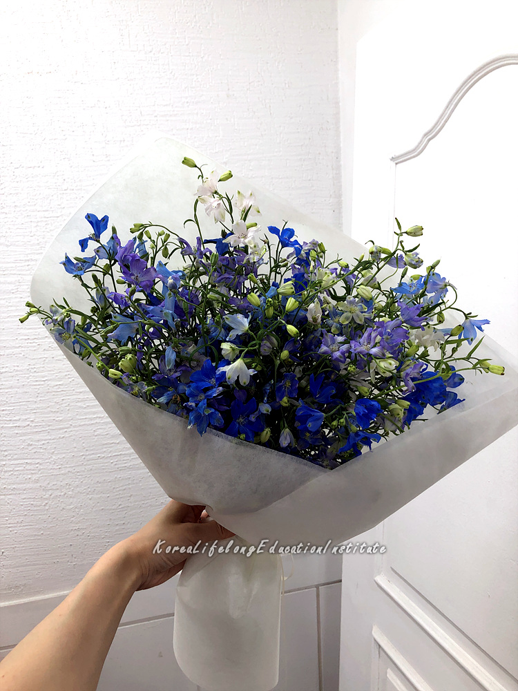 사용자 등록이미지