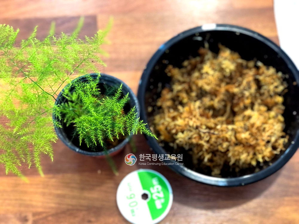 사용자 등록이미지