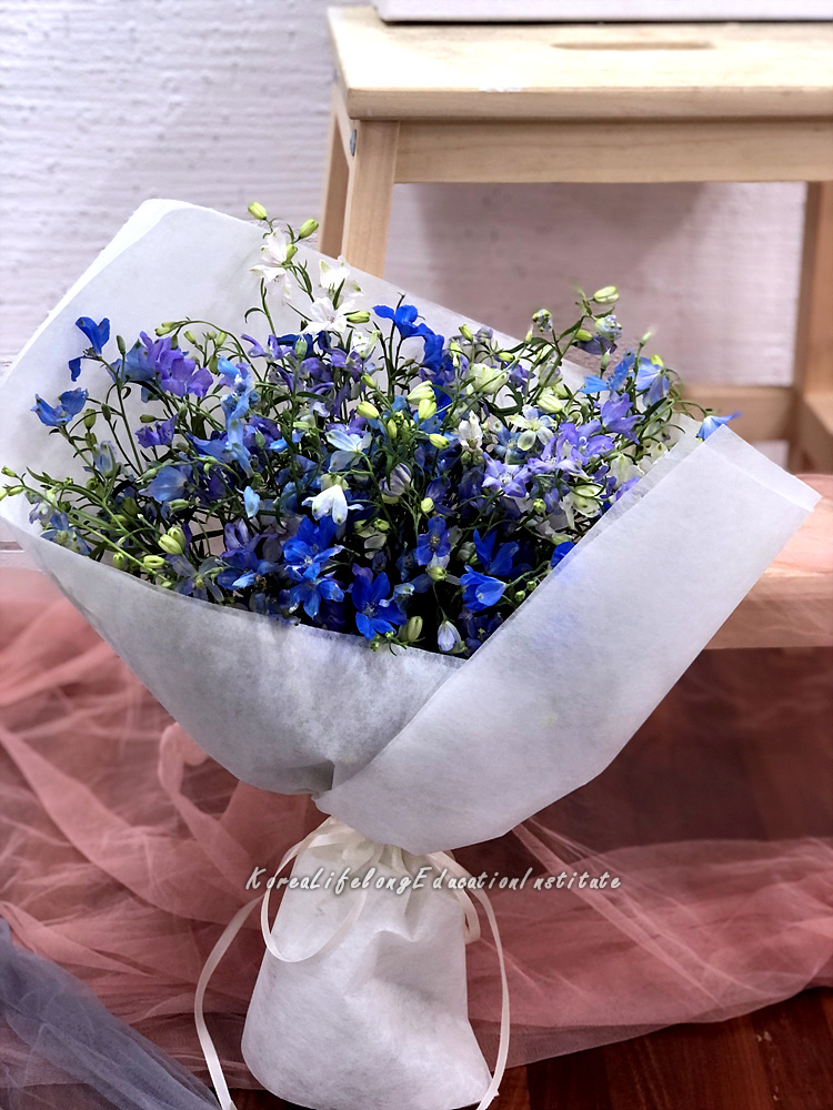 사용자 등록이미지