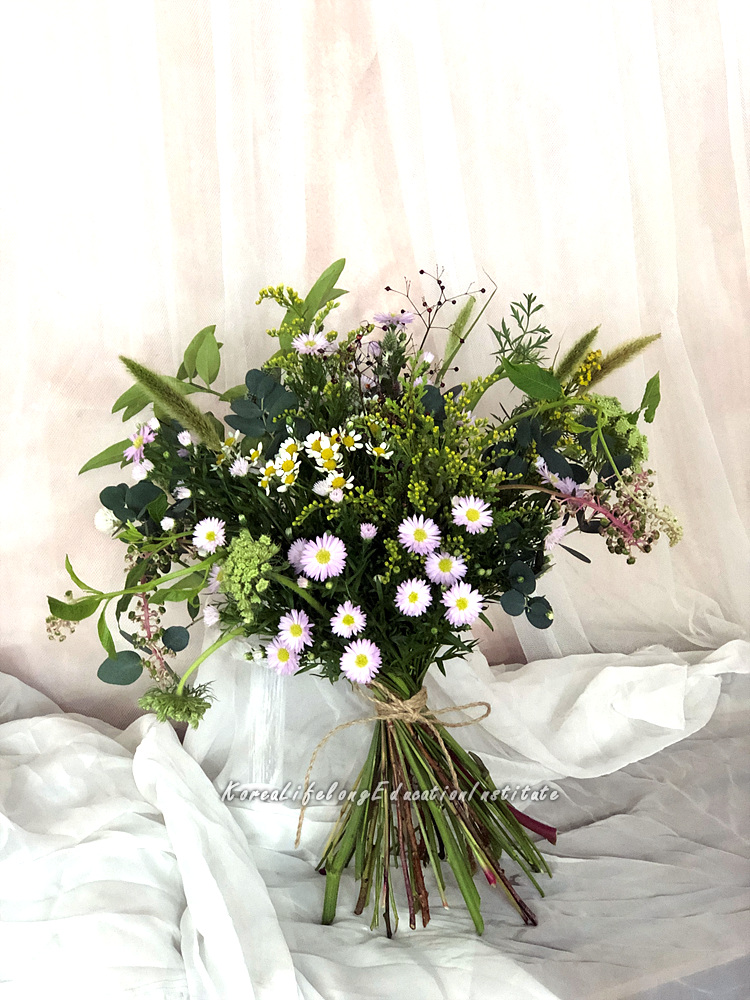 사용자 등록이미지