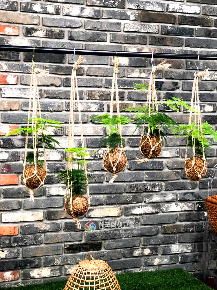 사용자 등록이미지