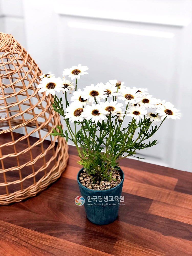 사용자 등록이미지