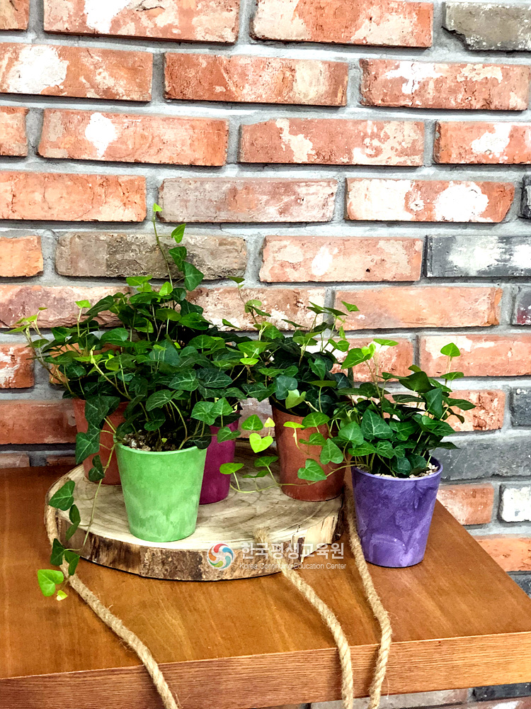 사용자 등록이미지