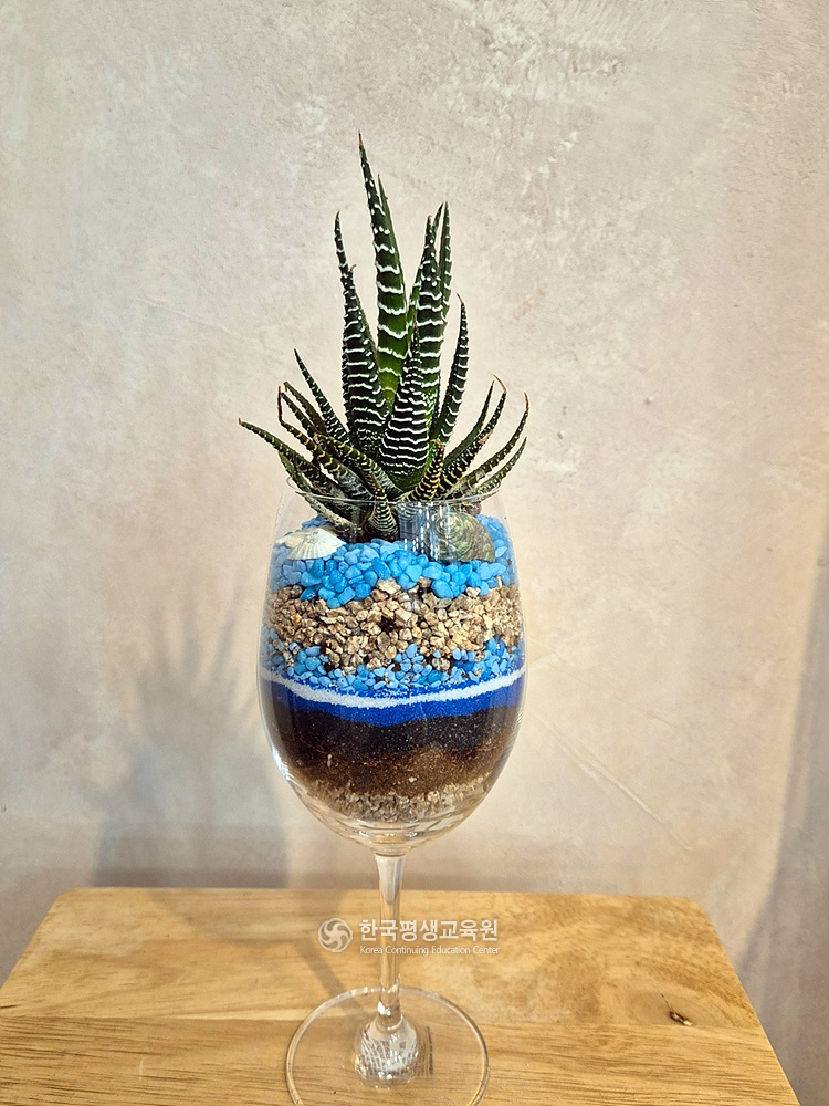 사용자 등록이미지