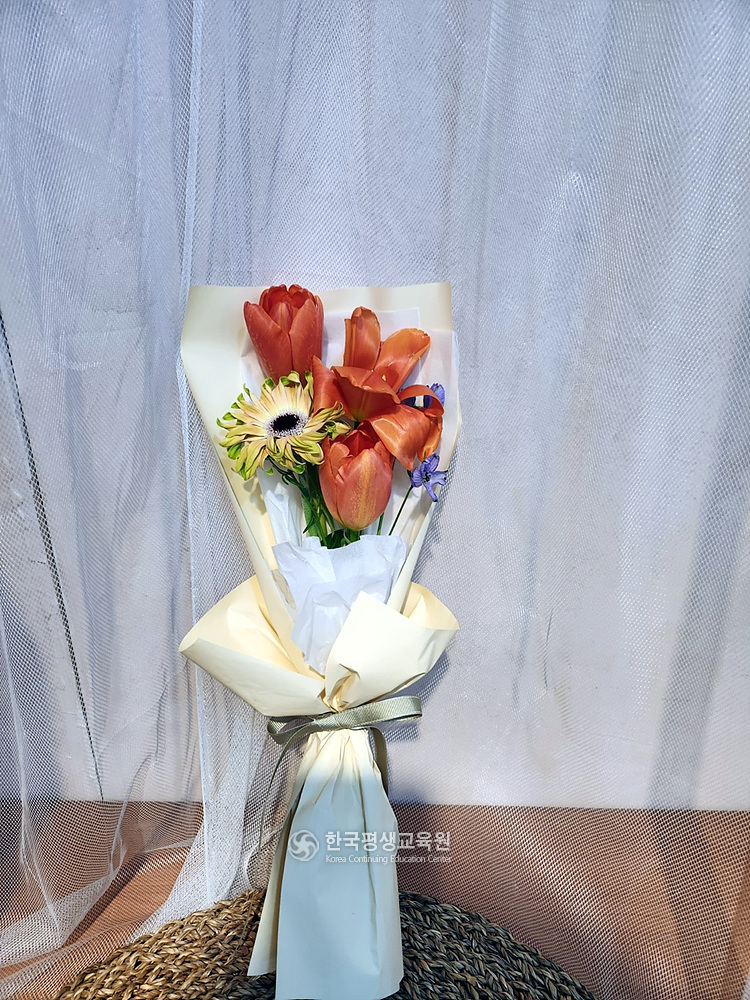 사용자 등록이미지