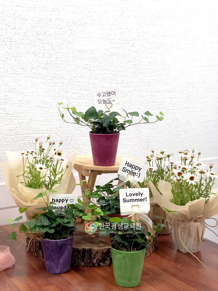 사용자 등록이미지