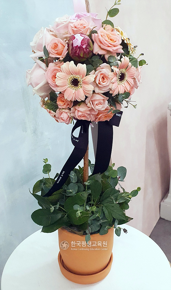 사용자 등록이미지