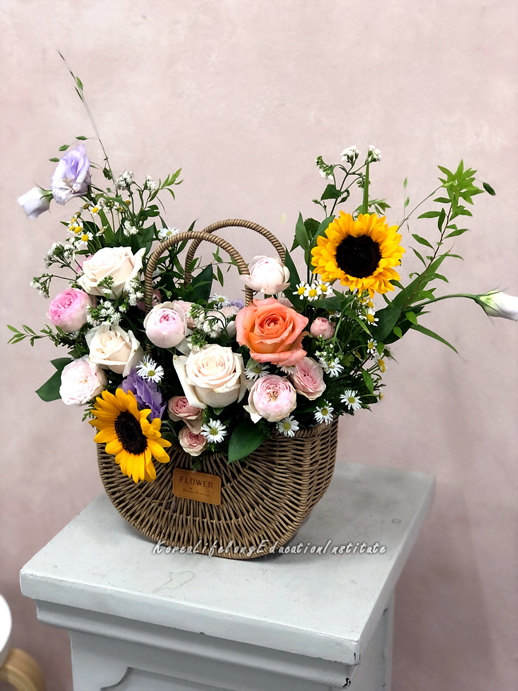 사용자 등록이미지