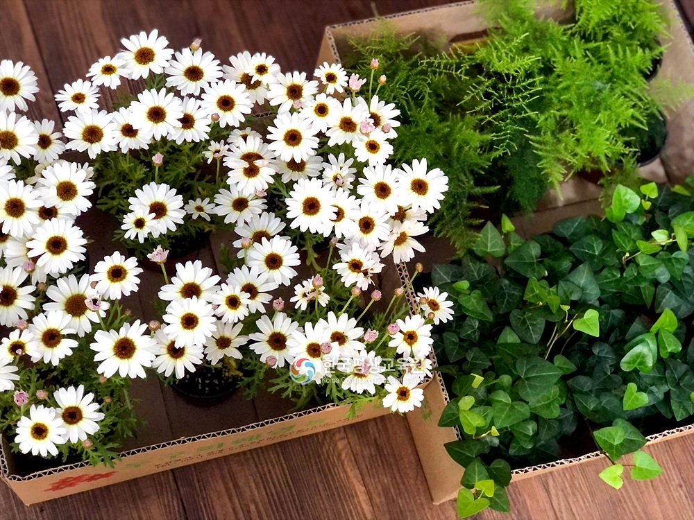 사용자 등록이미지