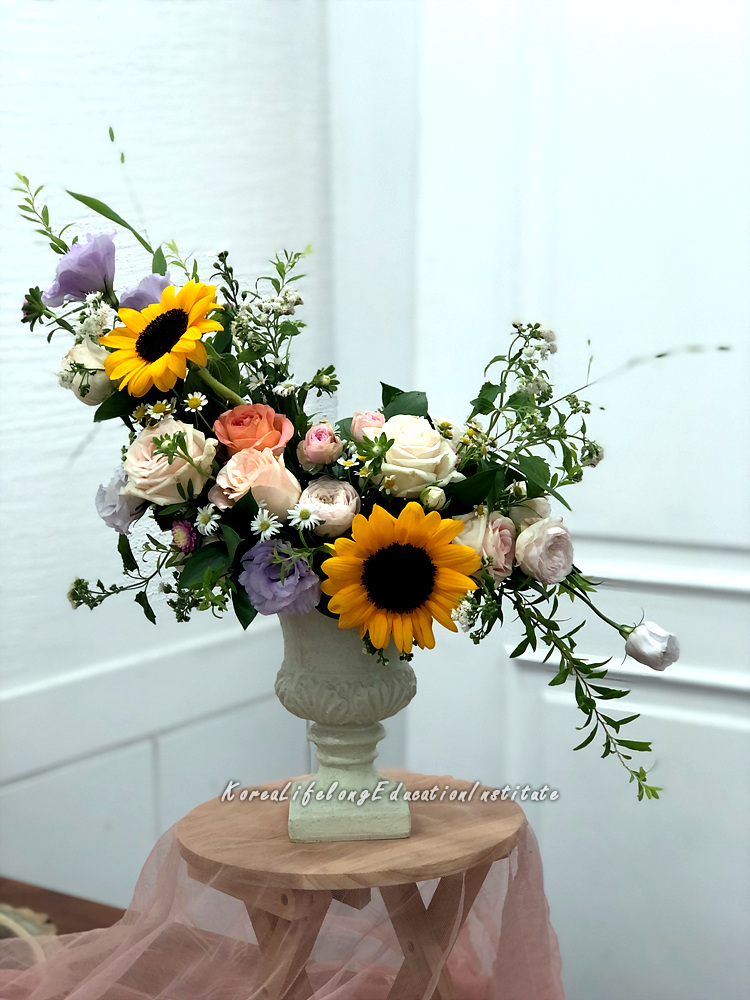 사용자 등록이미지