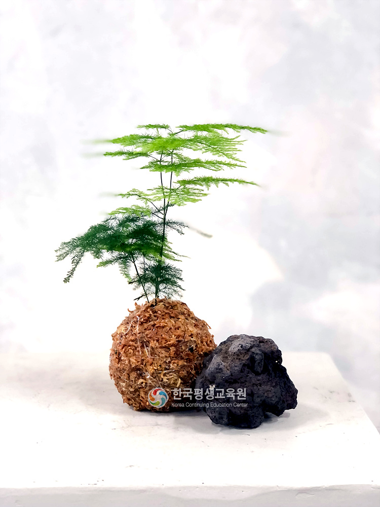 사용자 등록이미지