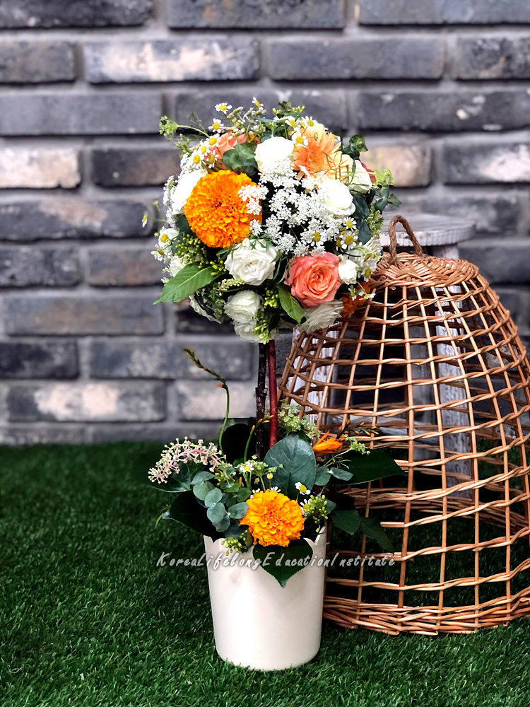 사용자 등록이미지