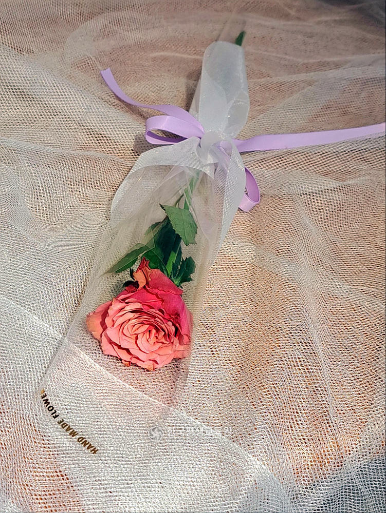 사용자 등록이미지
