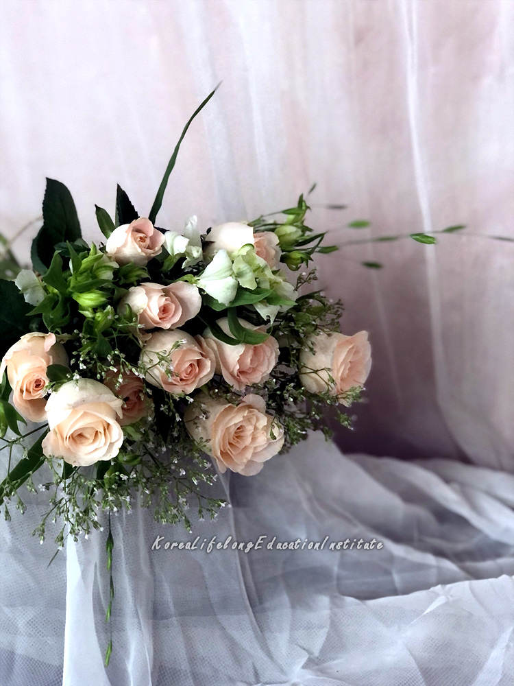 사용자 등록이미지