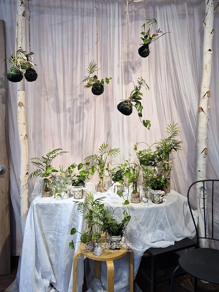 사용자 등록이미지