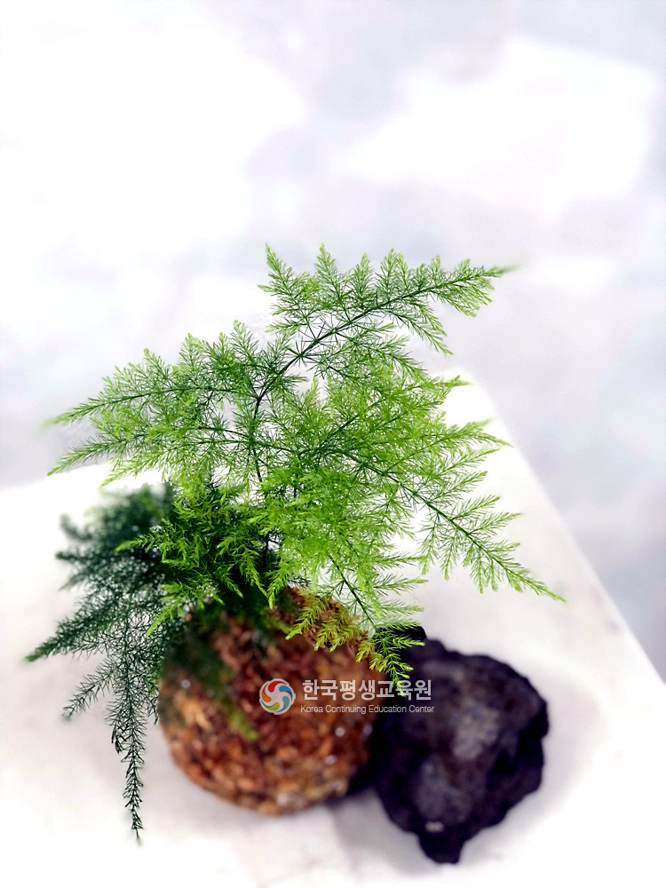 사용자 등록이미지