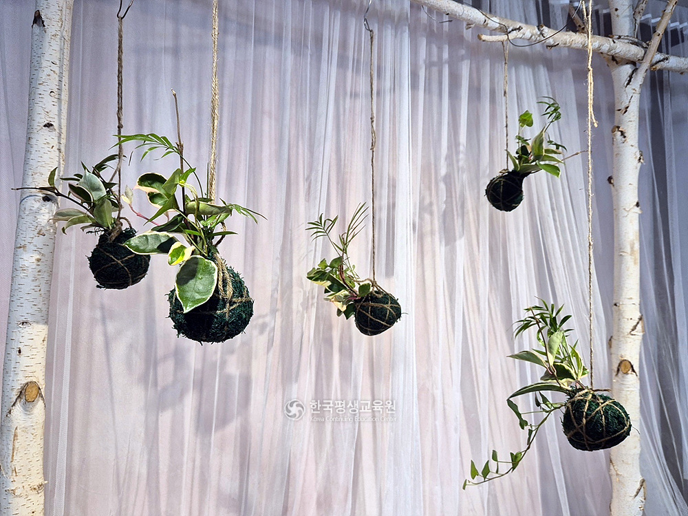 사용자 등록이미지