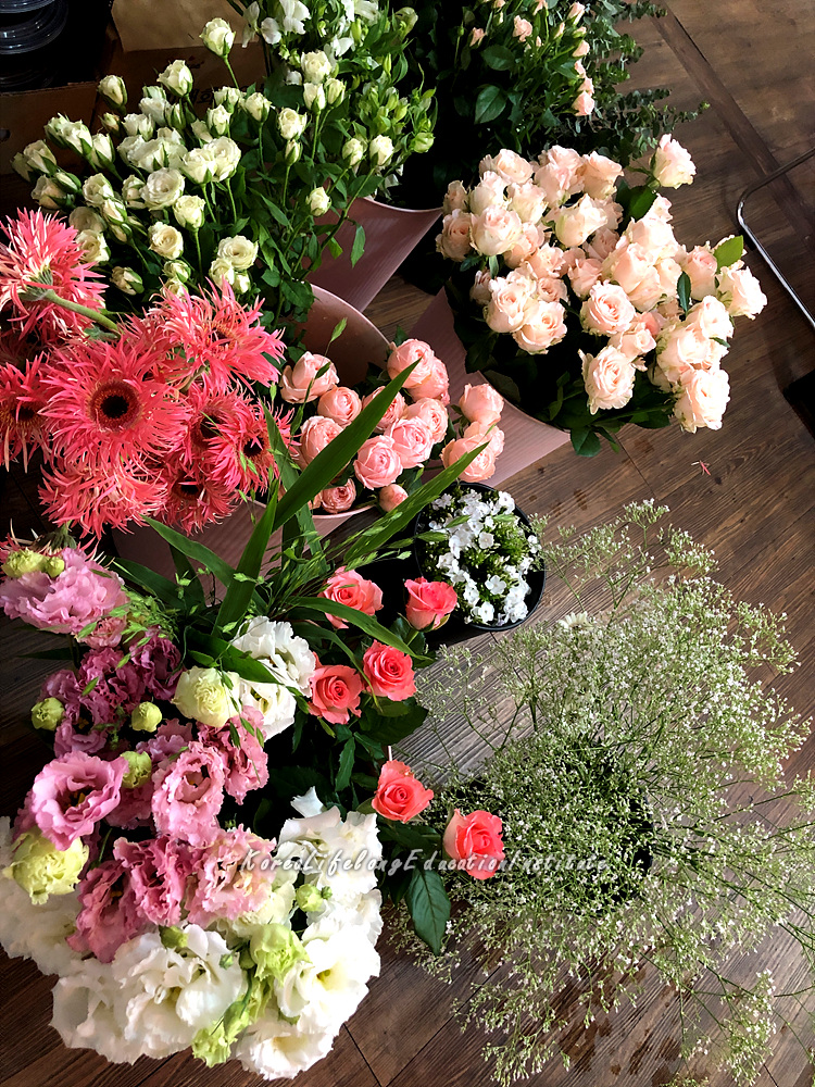 사용자 등록이미지