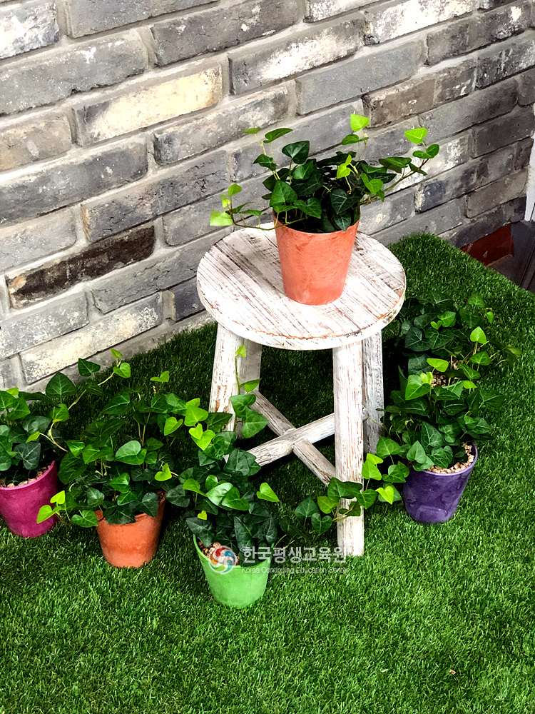 사용자 등록이미지