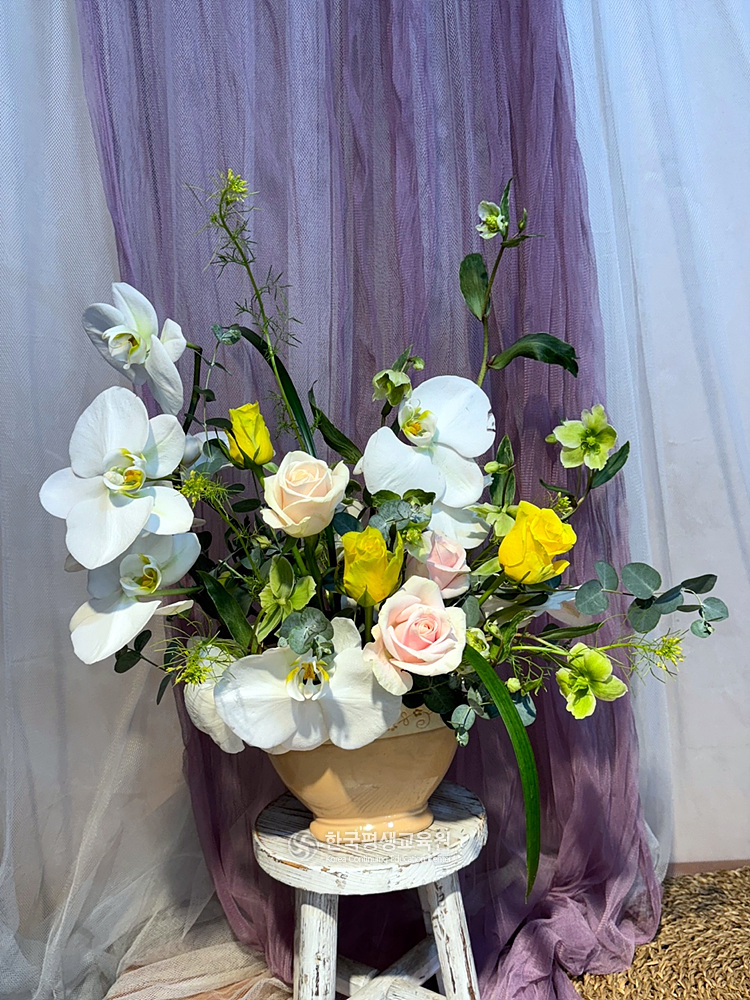 사용자 등록이미지