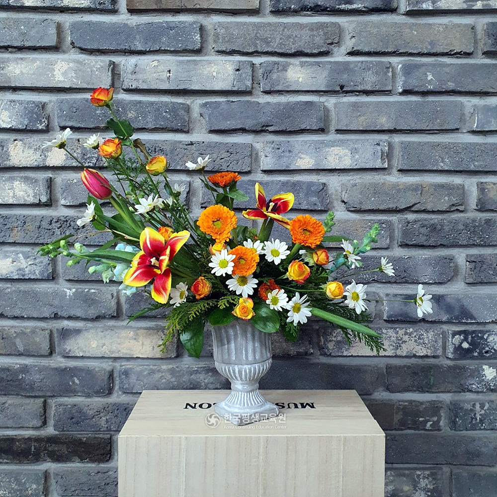 사용자 등록이미지