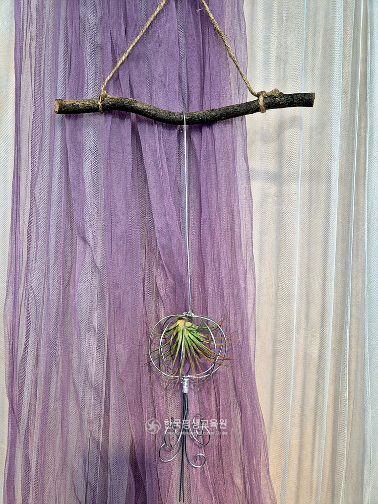 사용자 등록이미지