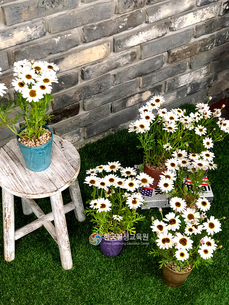 사용자 등록이미지