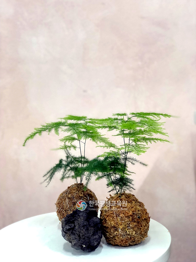 사용자 등록이미지