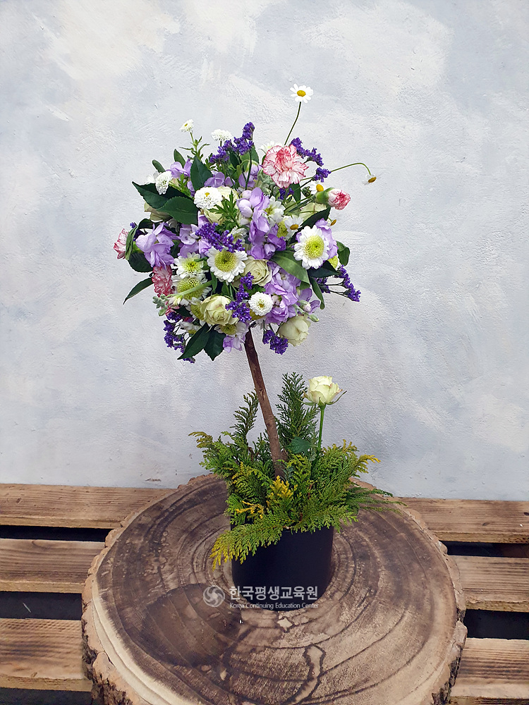 사용자 등록이미지