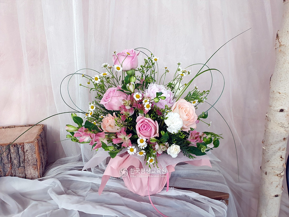 사용자 등록이미지