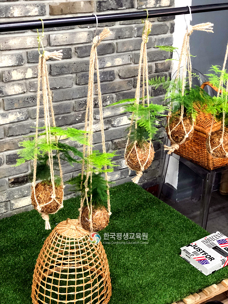 사용자 등록이미지