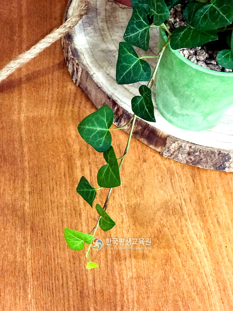 사용자 등록이미지