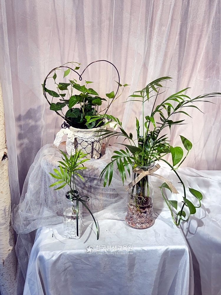 사용자 등록이미지