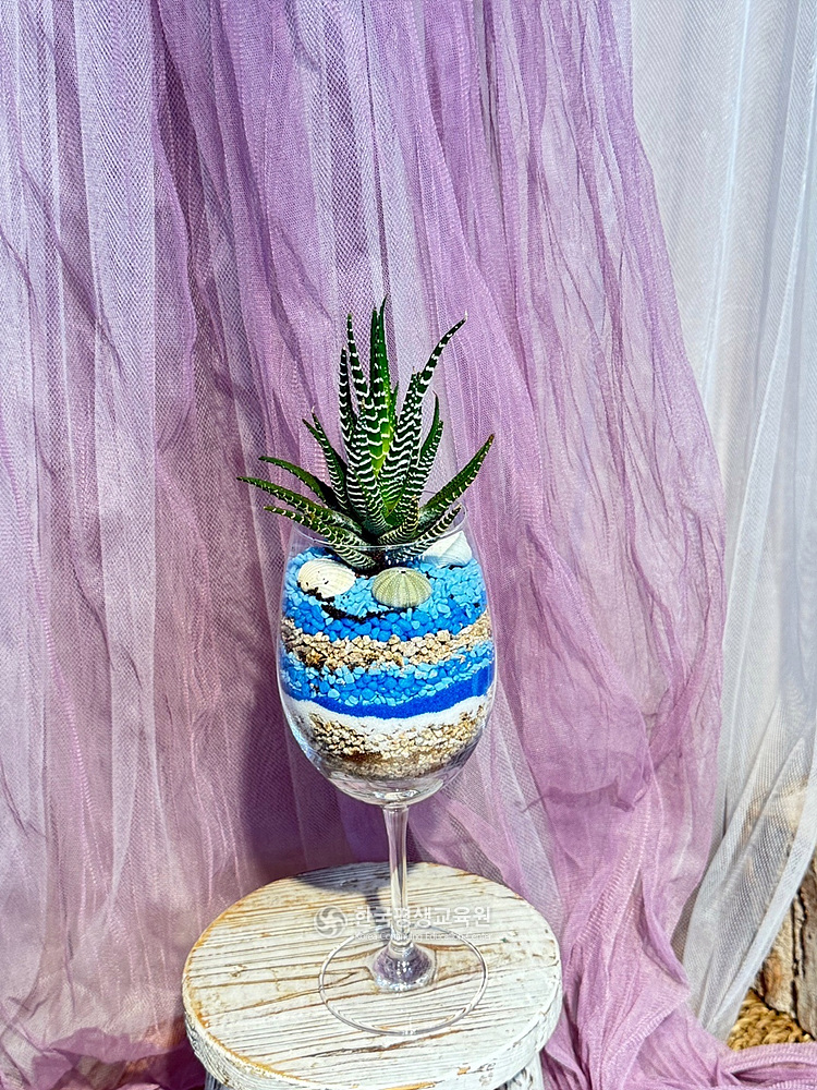 사용자 등록이미지