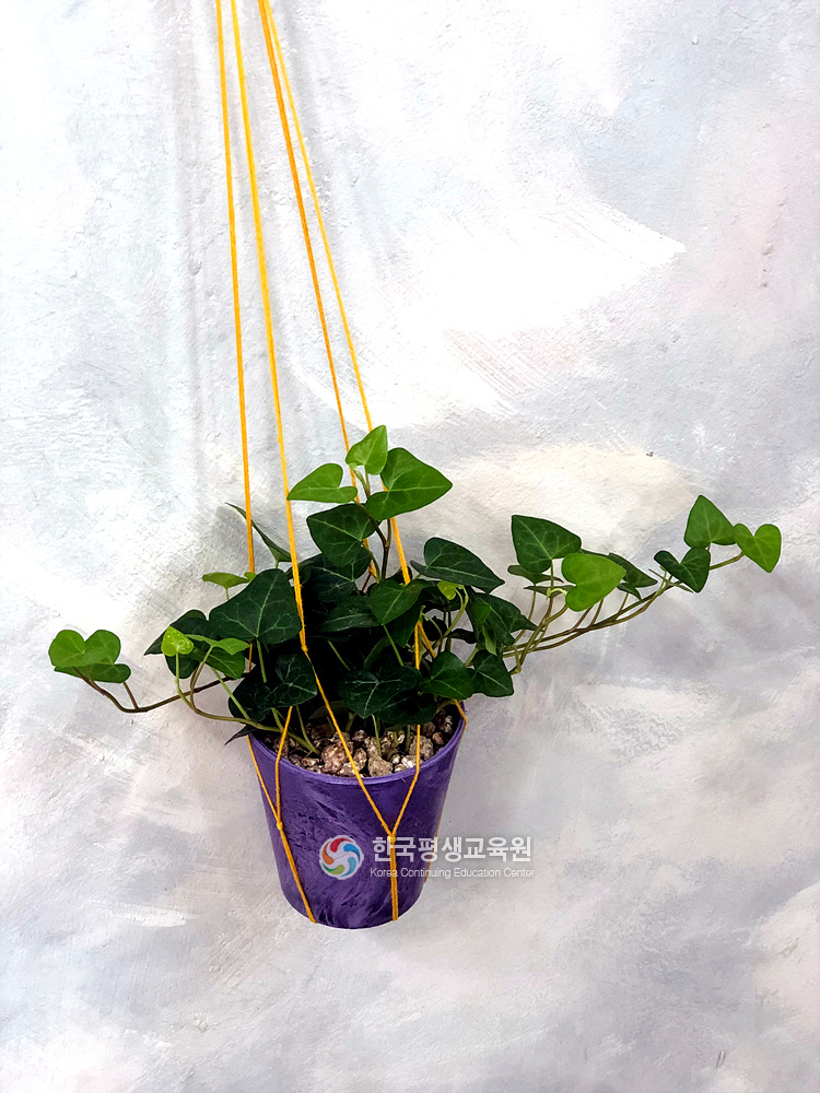 사용자 등록이미지