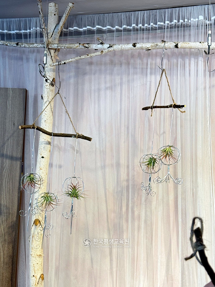 사용자 등록이미지