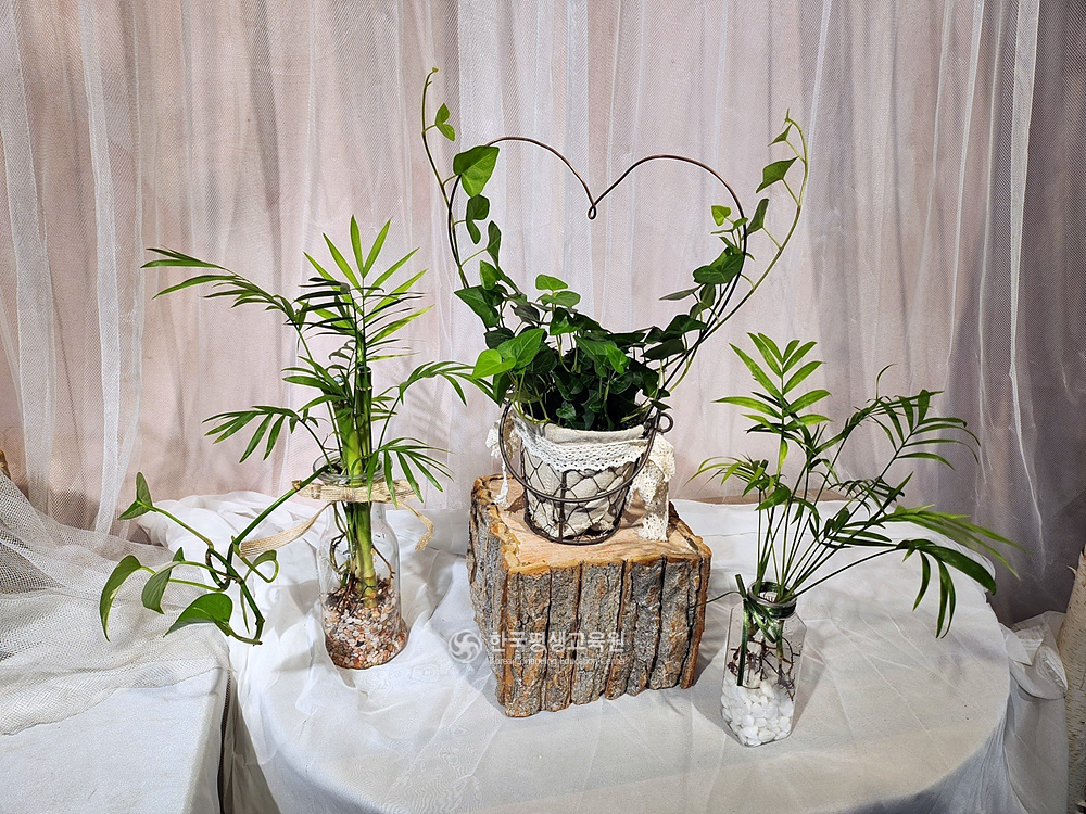 사용자 등록이미지